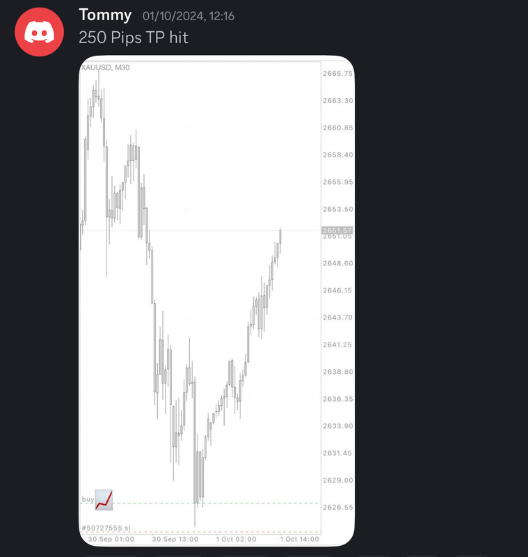 Come Learn Forex student trading result screenshot, 2024 archive, result 246 of 255