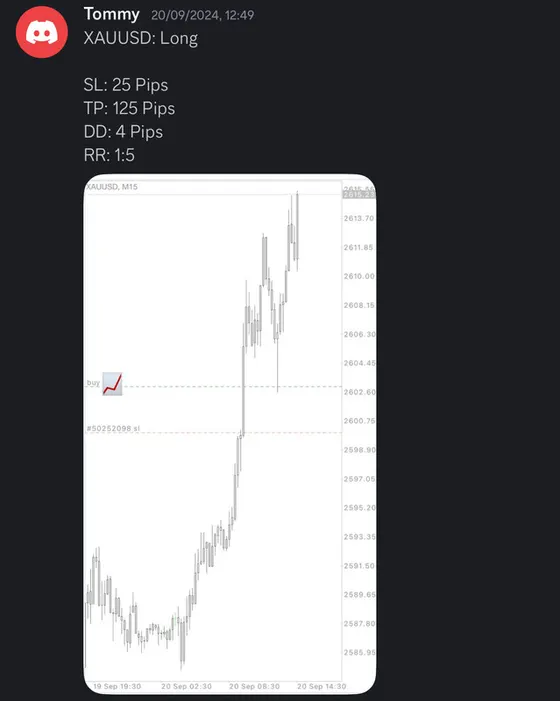 CLF student trading result 2024 no.241